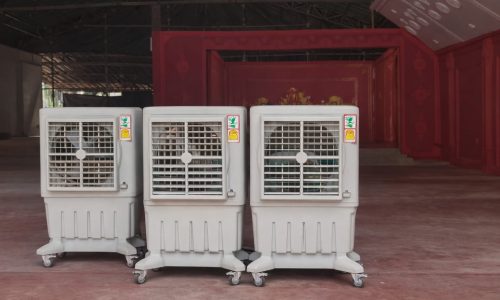 WhatsApp Image 2026-01-31 at 8.56.14 AM (1)